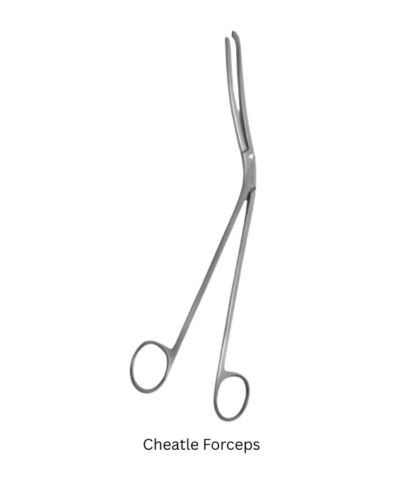 Cheatle forceps