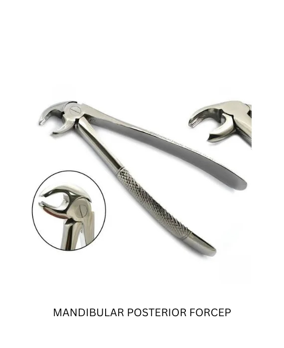 FORCEPS (11)