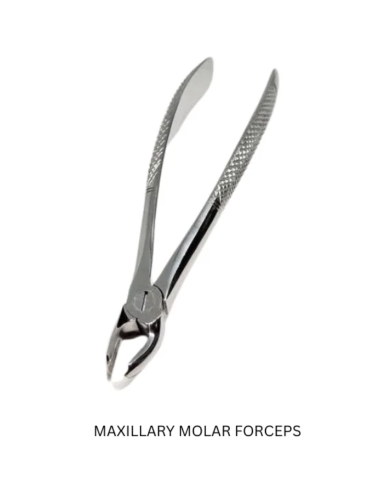 FORCEPS (4)