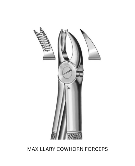 FORCEPS (5)